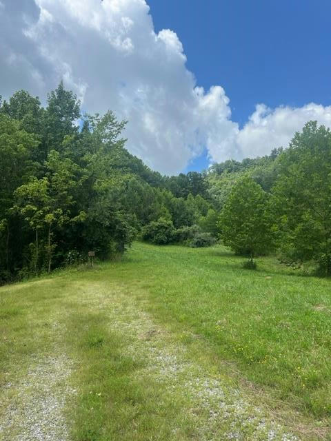 00 SAWMILL ROAD, DEBORD, KY 41214, photo 1 of 11