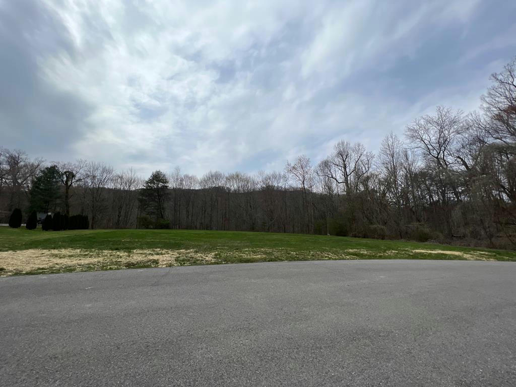 LOT 1 NORTHMONTE DRIVE, PIKEVILLE, KY 41501, photo 1 of 4