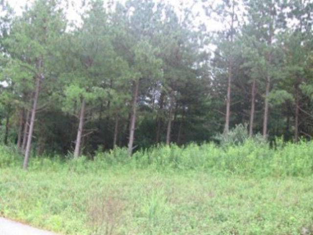 2 CEDAR CREEK PHASE 7, PIKEVILLE, KY 41501, photo 1