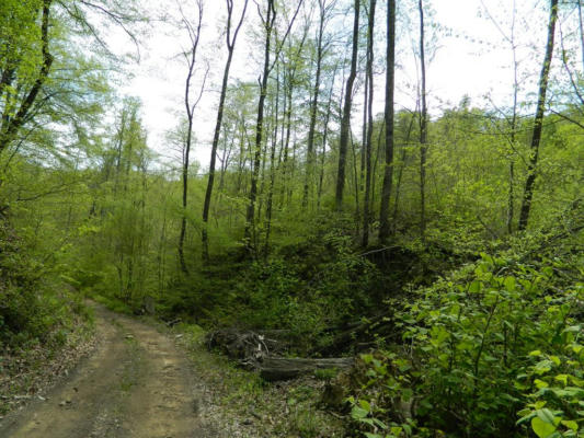 0 NARROWS BRANCH ROAD, HARDY, KY 41531 - Image 1