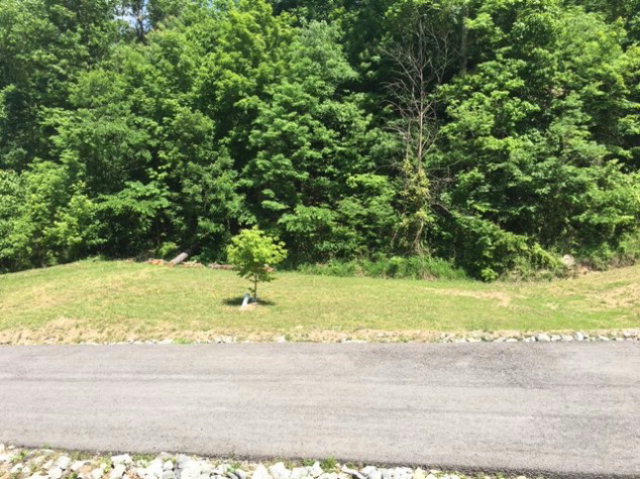 LOT #14 KEYSER HEIGHTS, PIKEVILLE, KY 41501, photo 1