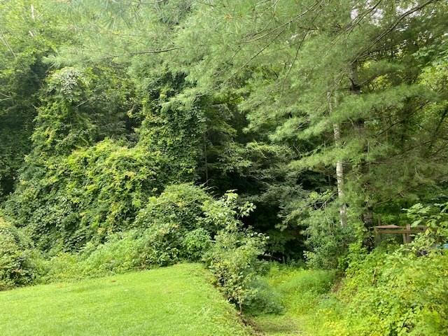 0 OLD WILEY BRANCH ROAD, RIVER, KY 41254, photo 1